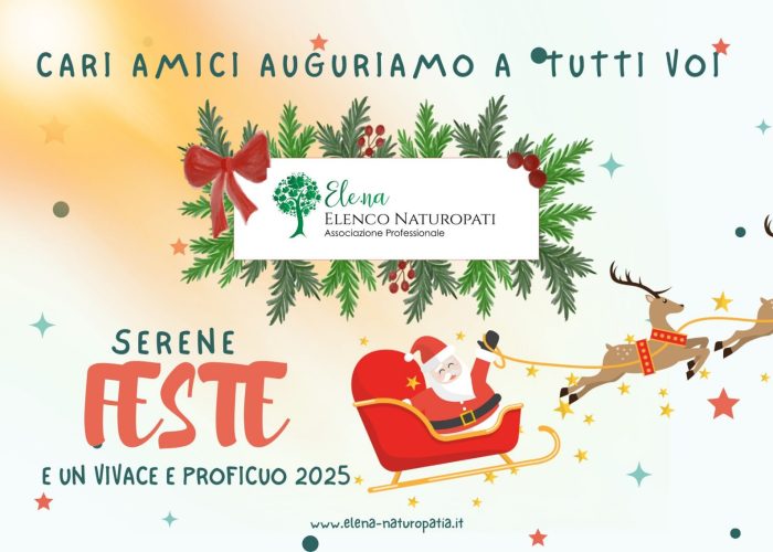 PHOTO-2024-12-20-17-47-28